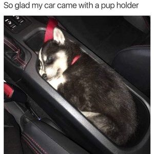 Meet your Posher, Desire